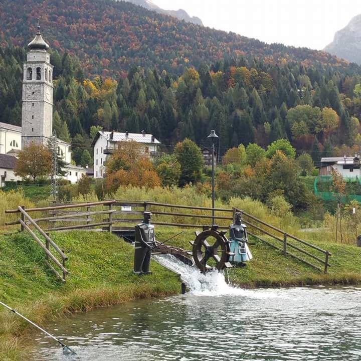 Albergo Meuble Tarandan Forni di Sopra Dış mekan fotoğraf
