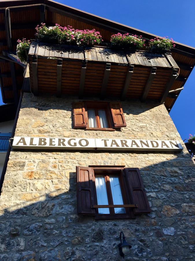 Albergo Meuble Tarandan Forni di Sopra Dış mekan fotoğraf