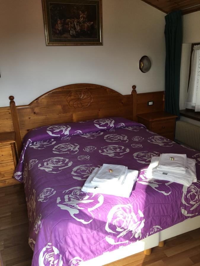 Albergo Meuble Tarandan Forni di Sopra Dış mekan fotoğraf